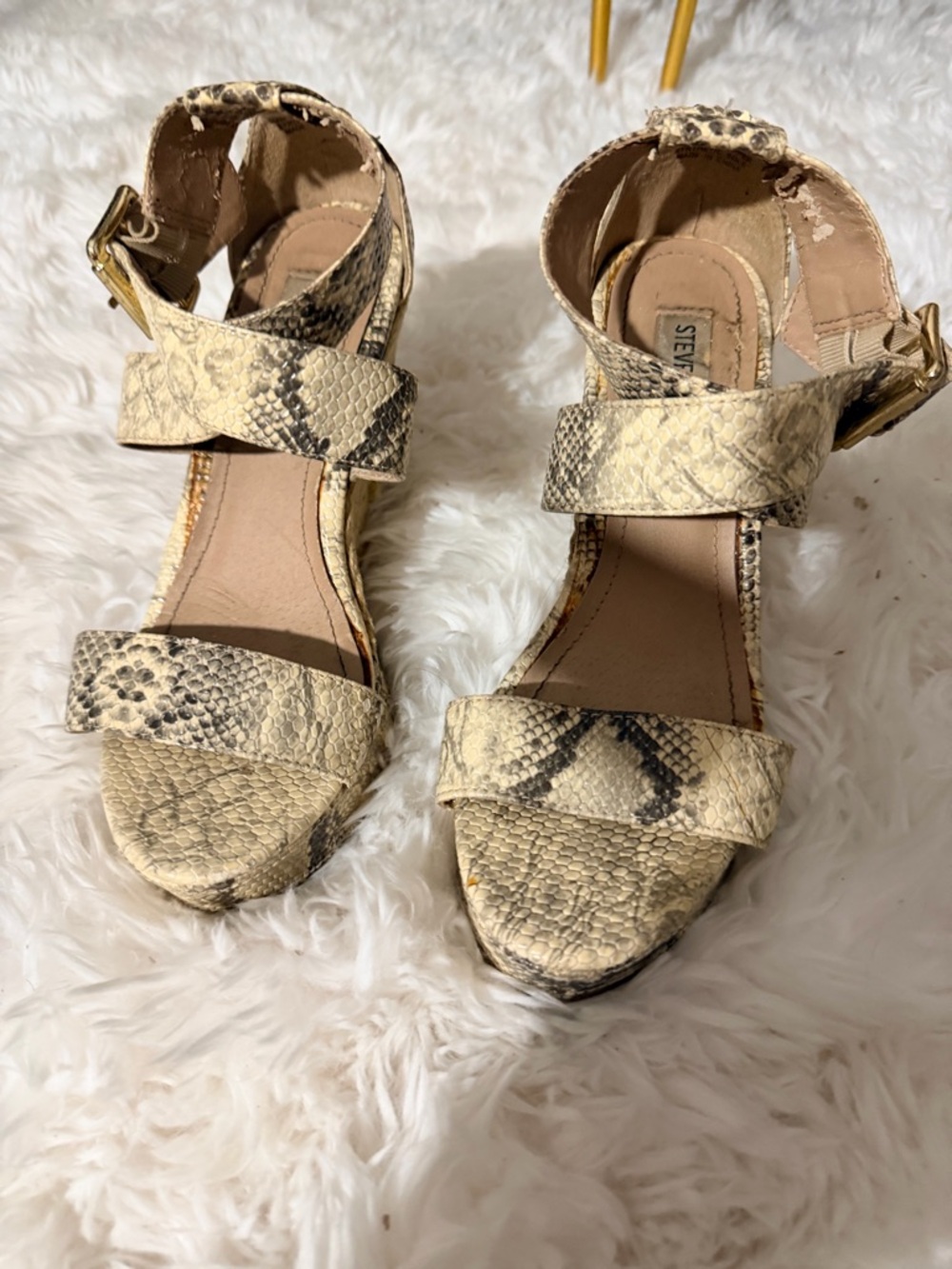 Steve Madden Snake-Print Ankle Strap Sandals in Beige Black